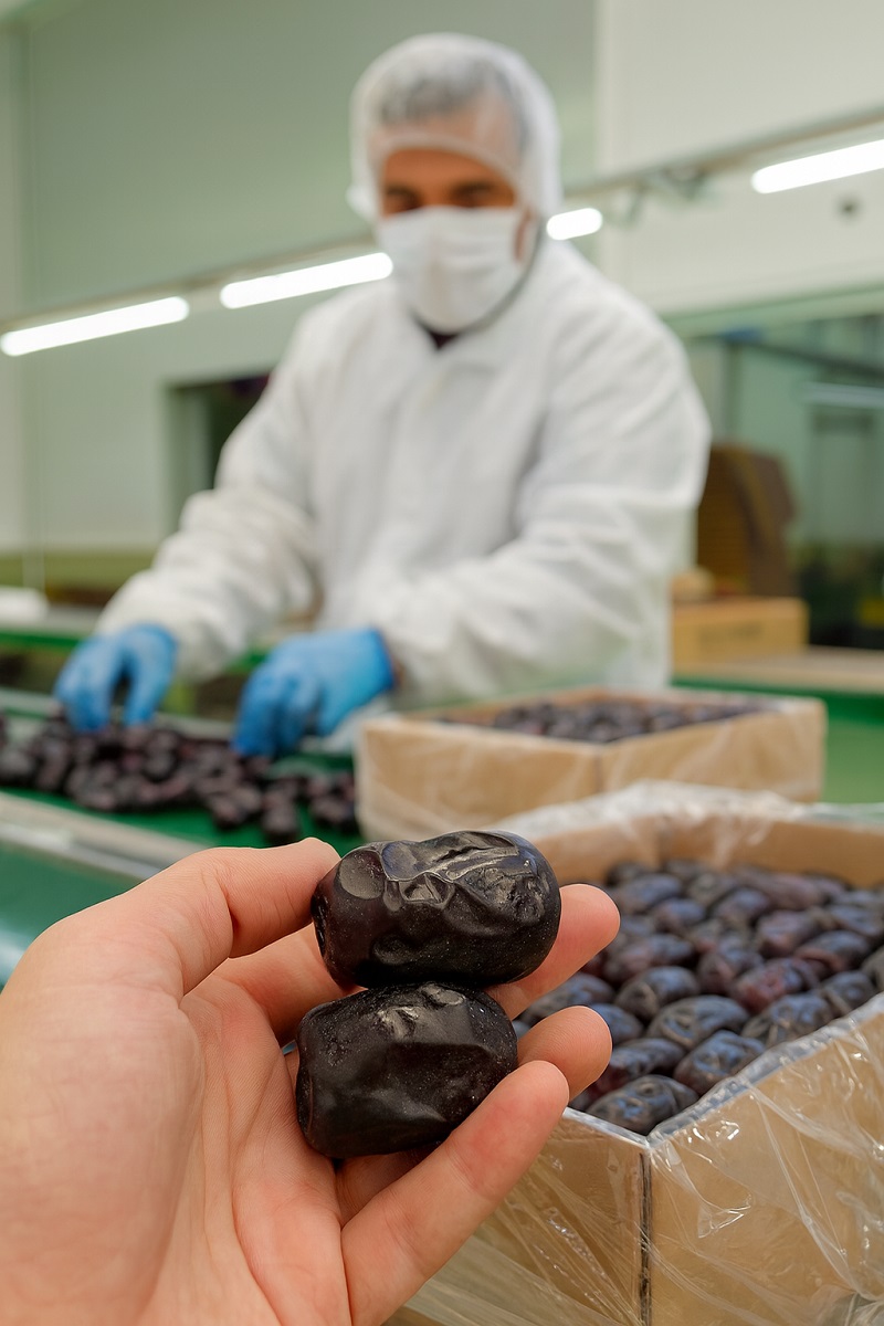 خرما مضافتی صادراتی