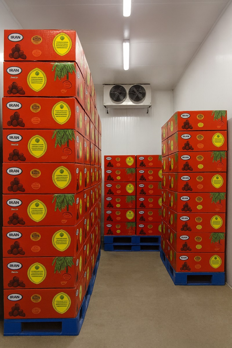 خرما مضافتی بم صادراتی