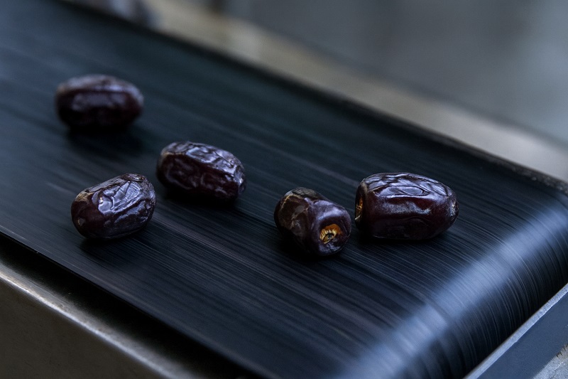 پخش خرما مضافتی