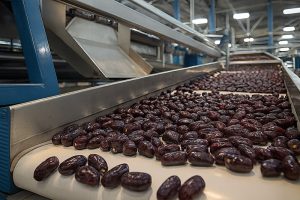 خرما مضافتی صادراتی