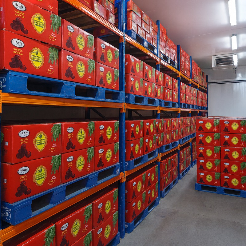 قیمت خرما مضافتی بم