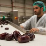 خرما مضافتی بم قیمت